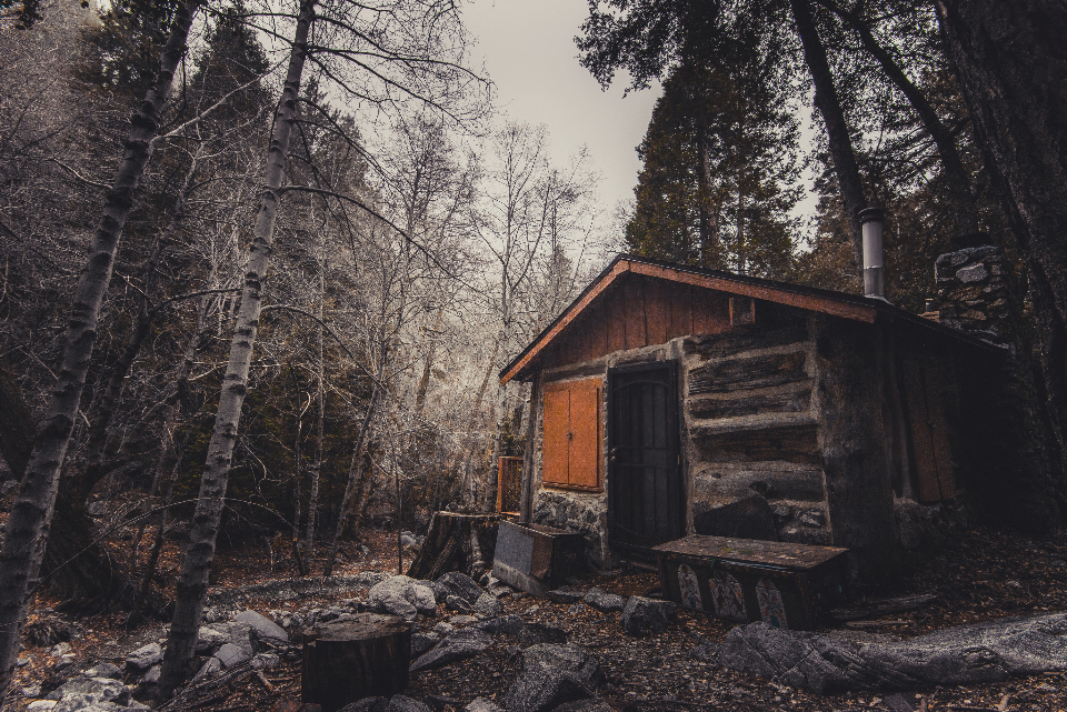Chalet en bois à Val-des-Cimes en montagne
